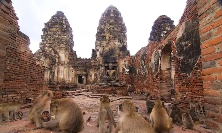 Private tour to Ayutthaya and Lopburi Monkey Temple (from Bangkok)