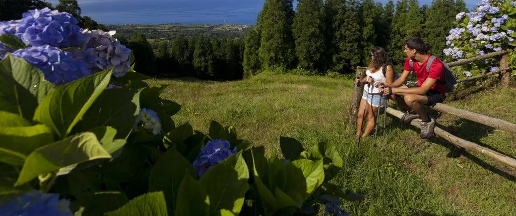 Half-day hiking tour in Sete Cidades