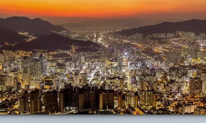 Busan by Night