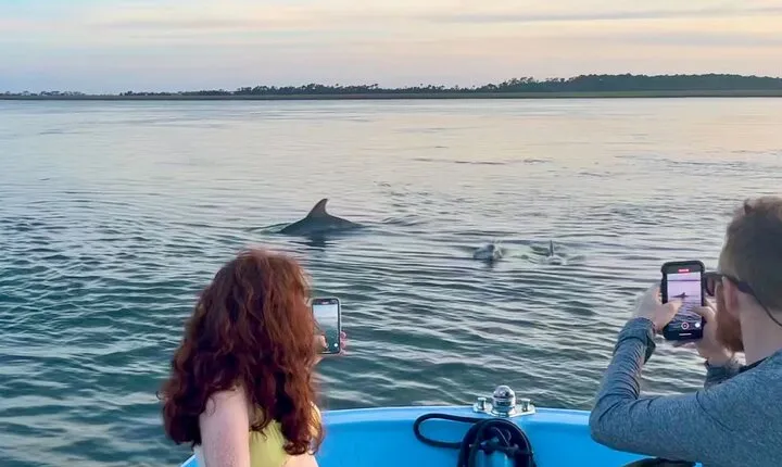 Morris Island Dolphin Cruise and Shelling Trip