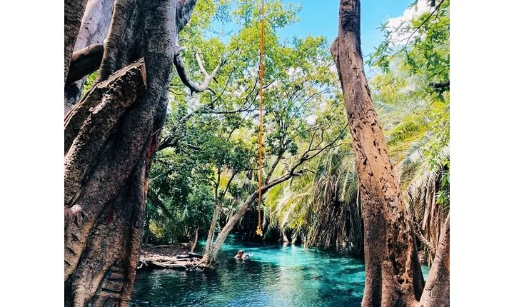 Materuni Waterfall, Chemka Hot Spring and Traditional Coffee Tour