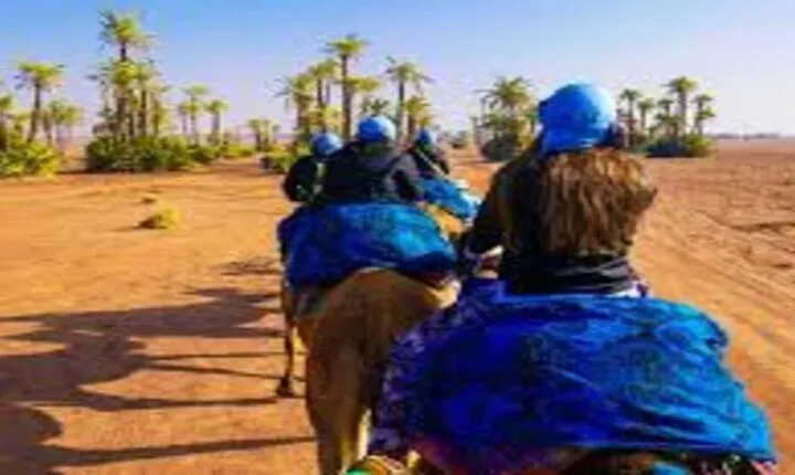 Camel Ride in Marrakech Including Moroccan Tea 
