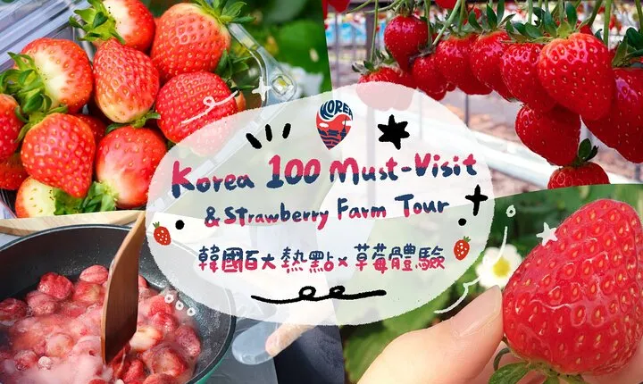 Strawberry Picking+Nami Island+Eobi Valley+Garden Lighting Fest