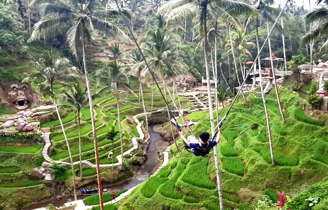 Ubud Tour - Highlights of Ubud
