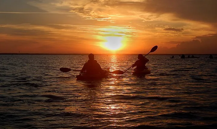 Sunset Bioluminescence Tour