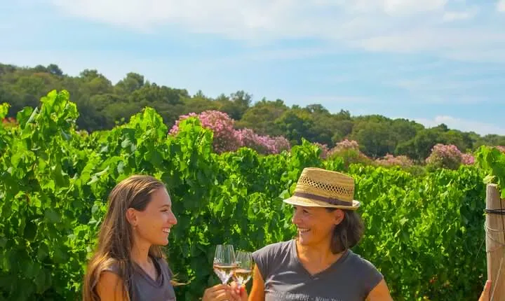 Private wine tour in the Gulf of Saint-Tropez