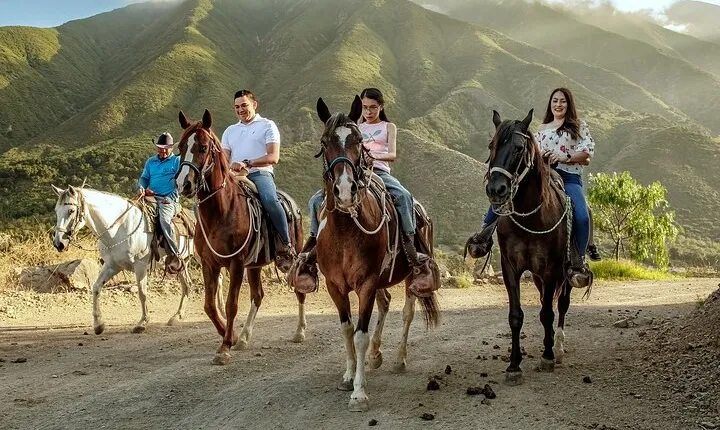 Las Cañadas Campamento Horseback Riding Experience