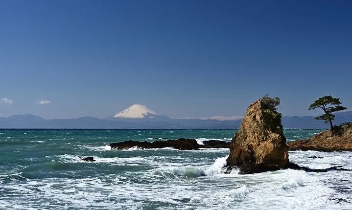 Hayama Imperial Villa and Tateishi Ukiyo-e Private Half Day Tour