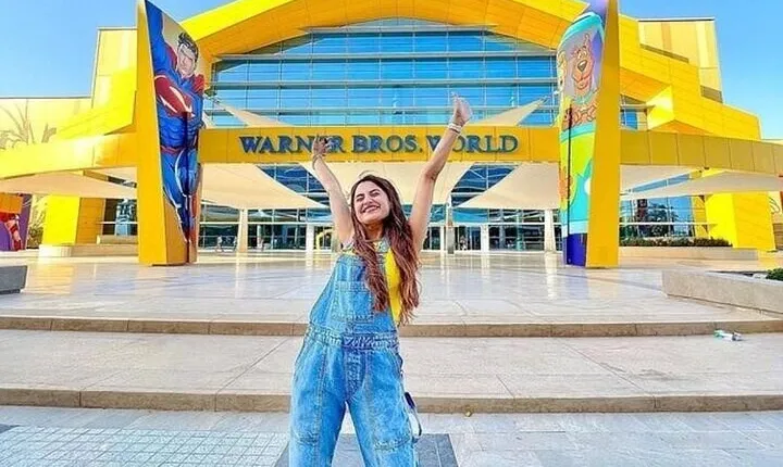 Abu Dhabi Warner Bros World Entry Ticket with Optional Transport