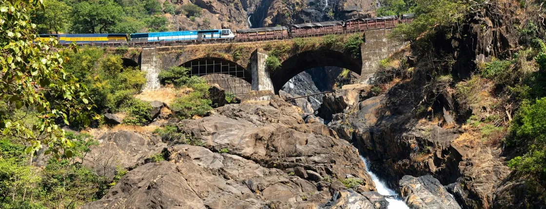 Dudhsagar Waterfall Tour from Goa with Spice Garden and Lunch