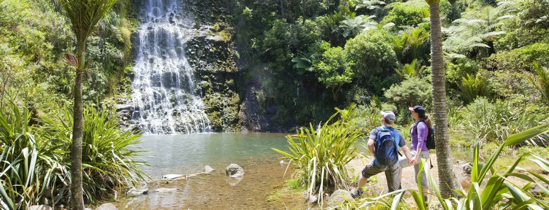 Auckland City and West Coast luxury small-group tour
