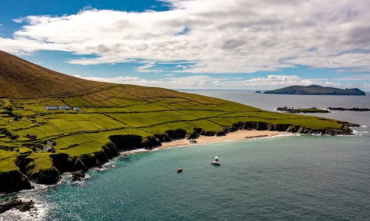 Dingle Dolphin Blasket Adventures