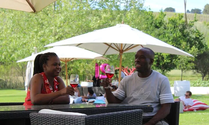 A Visit To Stellenbosch Franschoek Paarl Wineries From Cape Town Full Day