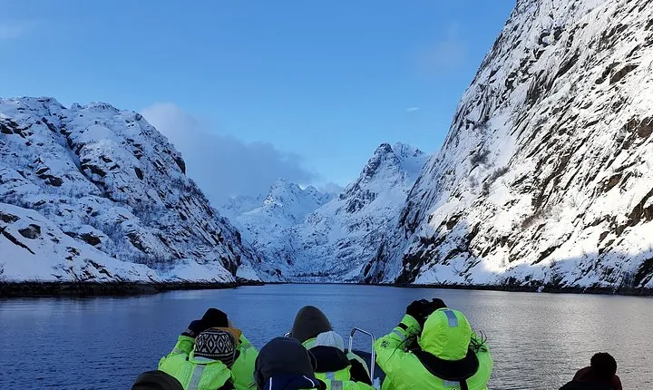 Trollfjord and Sea Eagle Safari Tour from Svolvaer