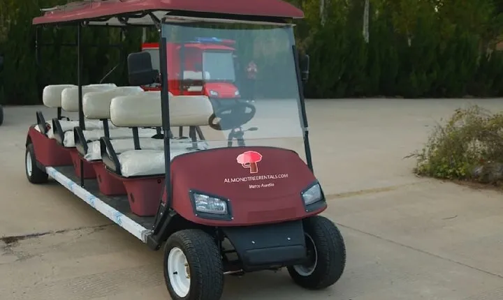 Rome on Wheels A Tour of the Capital