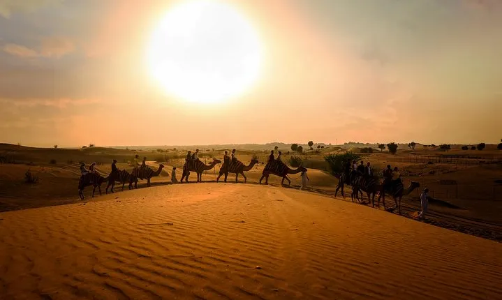 Dubai Sunset Camel Trekking With BBQ Dinner