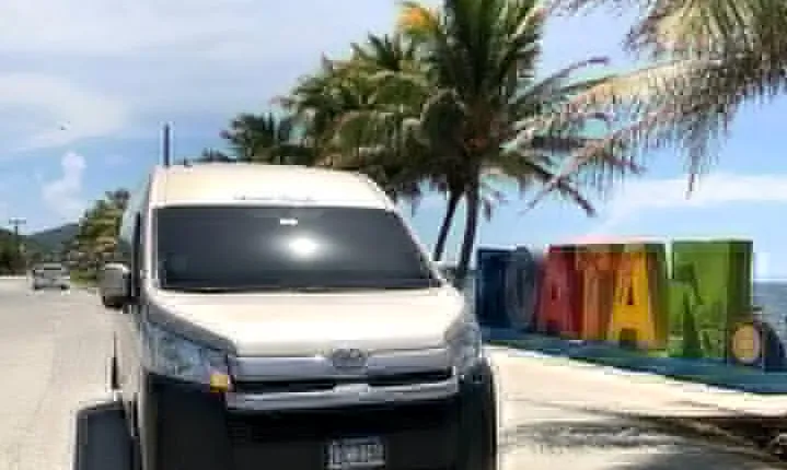 Half-Day Private Roatan Island Tour