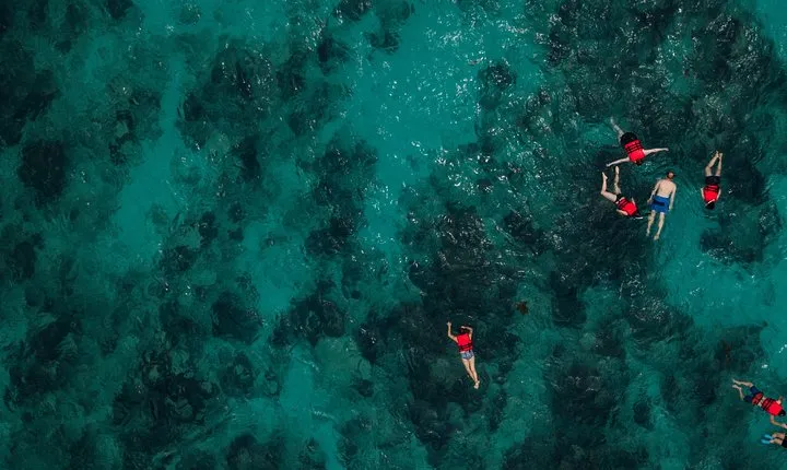 Boat and Snorkeling in West End (Blue Channel, The Aquarium, Turtle Crossing)
