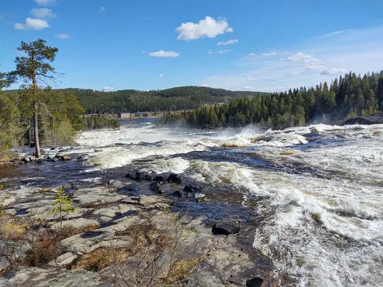 Private summer hike in Storforsens nature reserve