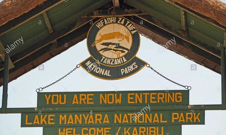 1 Day Joined Group Safari in Lake Manyara