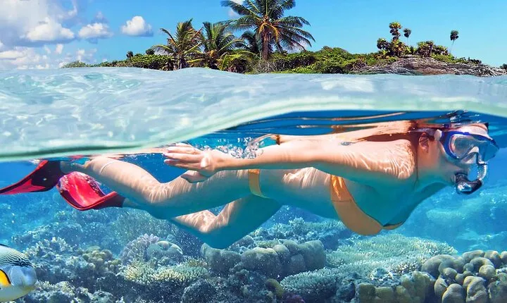 Catalina Island & Snorkeling Tour