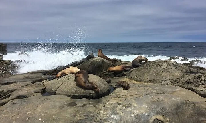 Full Day Private SD Tour from Coronado Island