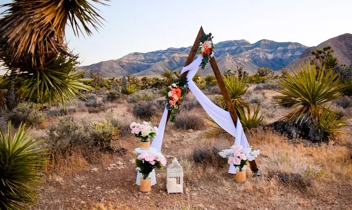Las Vegas Scenic Wedding Ceremonies