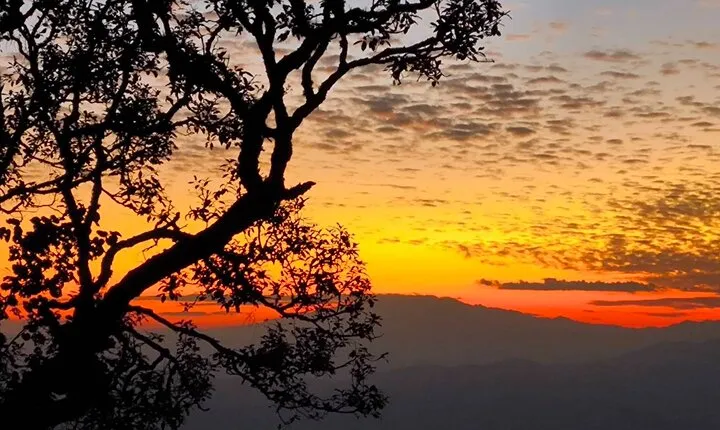 Chiang Mai Sunset Point, Wat Pha Lat, Wat Doi Suthep, Wat Umong