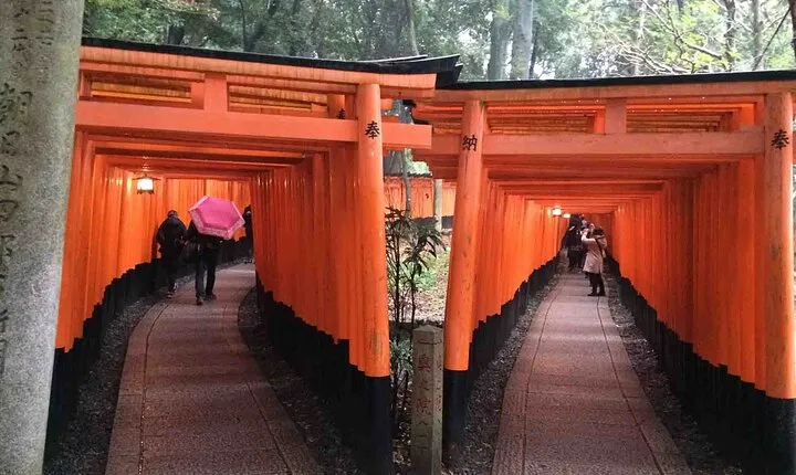 Eastern Kyoto Walking Tour with Local Guide