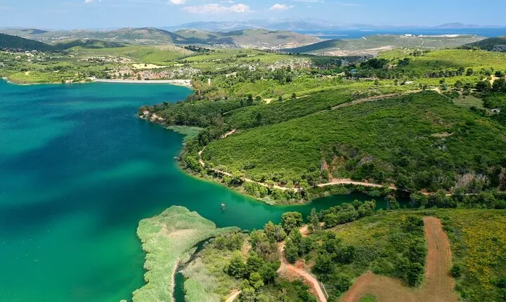 Half Day Trip From Athens to Marathon Exploring The Ancient Path