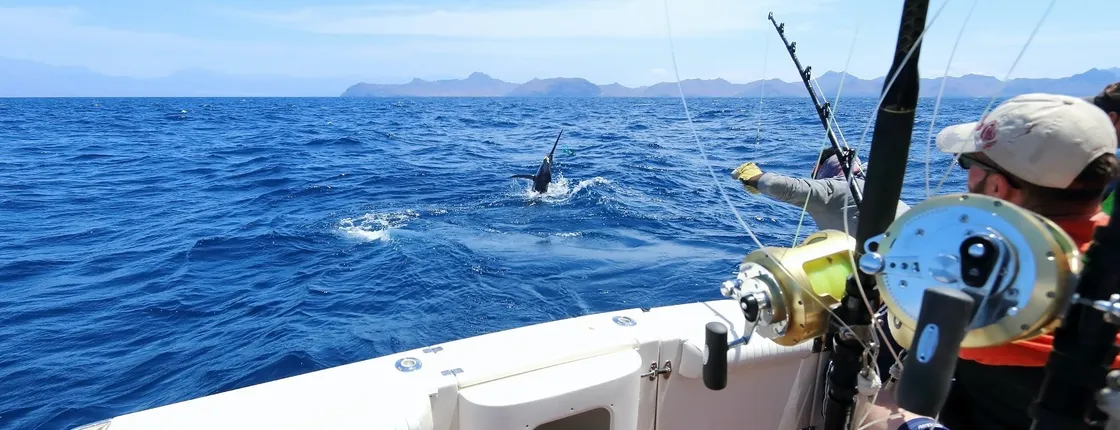 Private guided fishing trip from Hvar