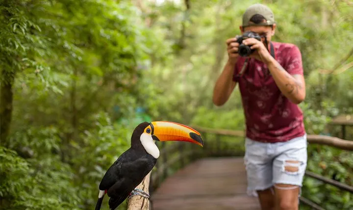 Bird Park Tour