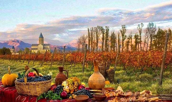 Full-Day Kakheti- Wine Region Private Guided Tour