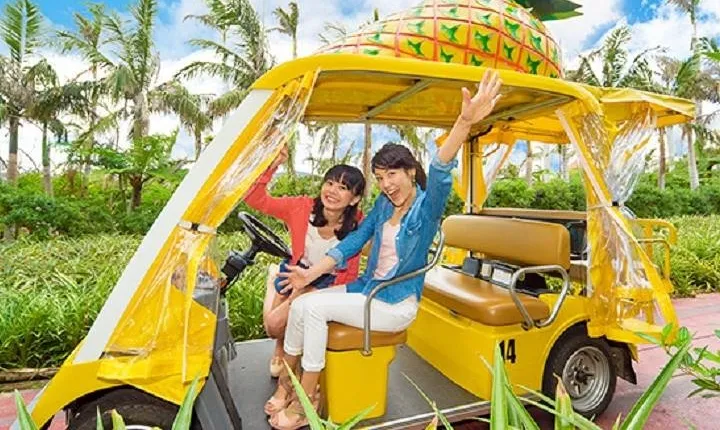 Okinawa Hip-hop Bus A Course Tour｜Churaumi Aqualium,Kori Island