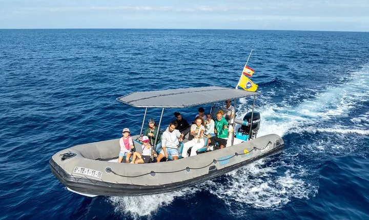 Whale Watching Eco-Adventure from Costa Adeje