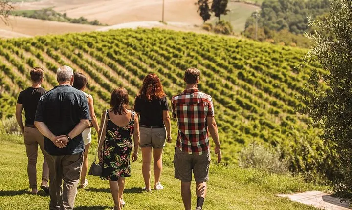 Montalcino Castle and Vineyards tour with tasting