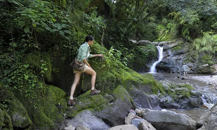 Yungas Half-Day Tour from Tucuman