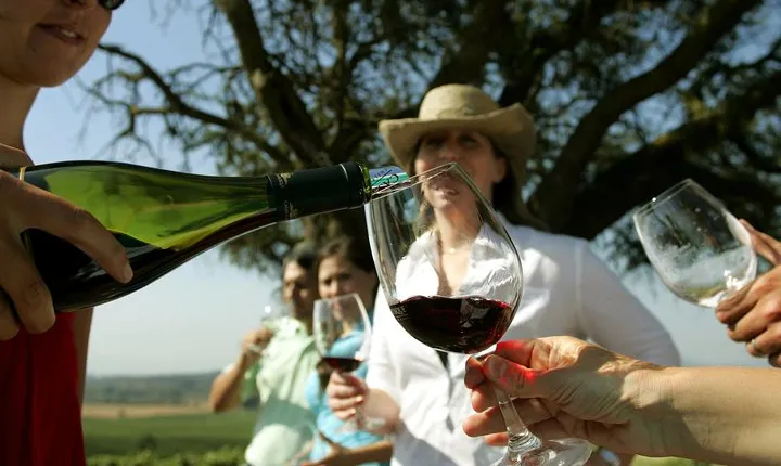 PRIVATE TOUR: Pre or Post Cruise San Antonio Port with Santiago Tour and Winery