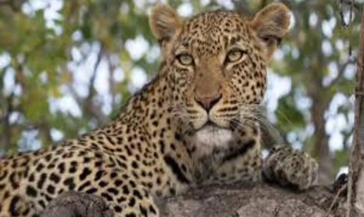 3 days Lake Mburo National Park