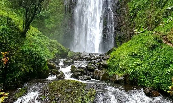 1-Day Safari to Materuni Waterfalls and Chemka Hot spring