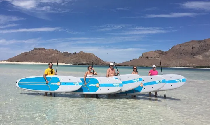 1-6 Private Group Rate Tour: Espiritu Santo Island, Sea Lions and Paddleboarding