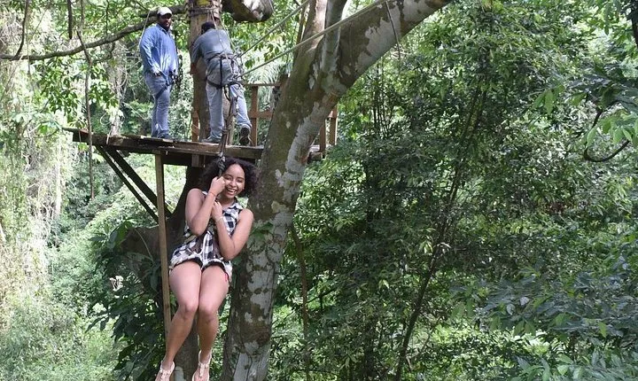 Zipline, Wildlife Park & Beach Jam-Packed Excursion
