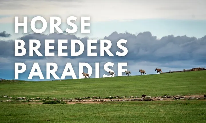 Horse Breeders’ Paradise