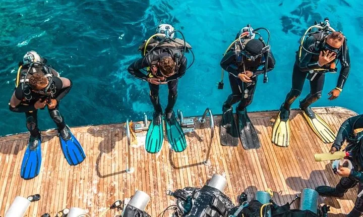 Snorkeling and Diving to Ras Mohamed And White Island by VIP Boat
