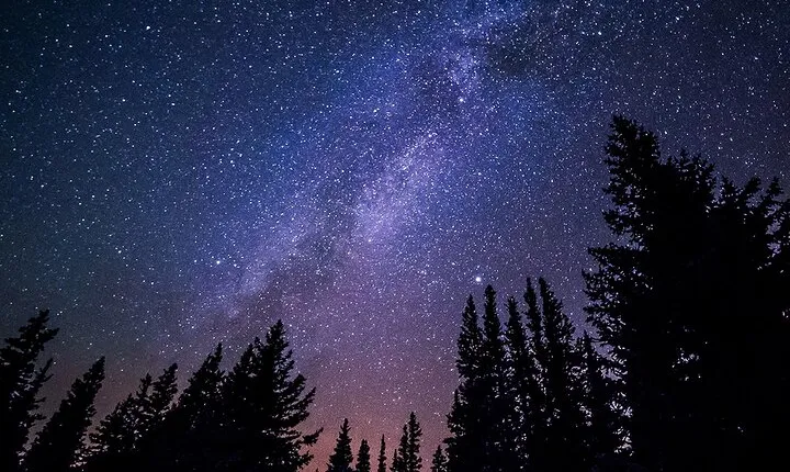 Stroll in the stars Private activity