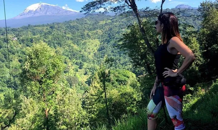 Materuni Waterfalls and Coffee Tour