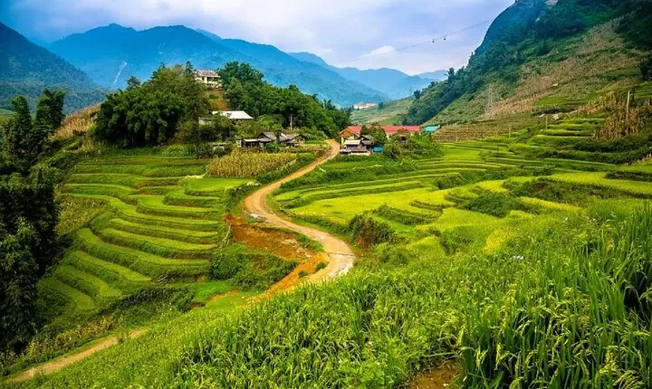 2 Days 1 Night Sapa Trekking at 4 Star Hotel