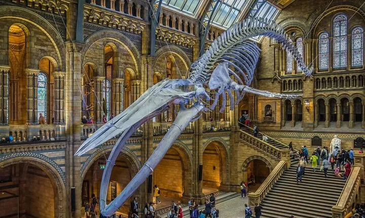 Private Walking Tour of British Museum