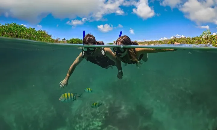 Magical Cenote and Paradise Lagoon Snorkeling Adventure