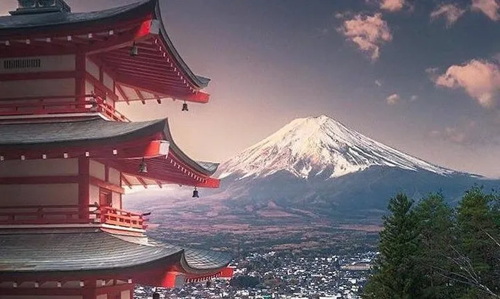 Private Sightseeing to Mt. Fuji and Hakone GREEN NUMBER PLATES